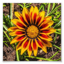 Blommigt 1-fotoutskrift