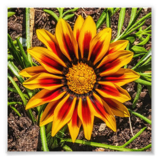 Blommigt 1-fotoutskrift fototryck