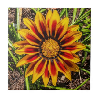 Blommigt 1 Sida Kakelplatta