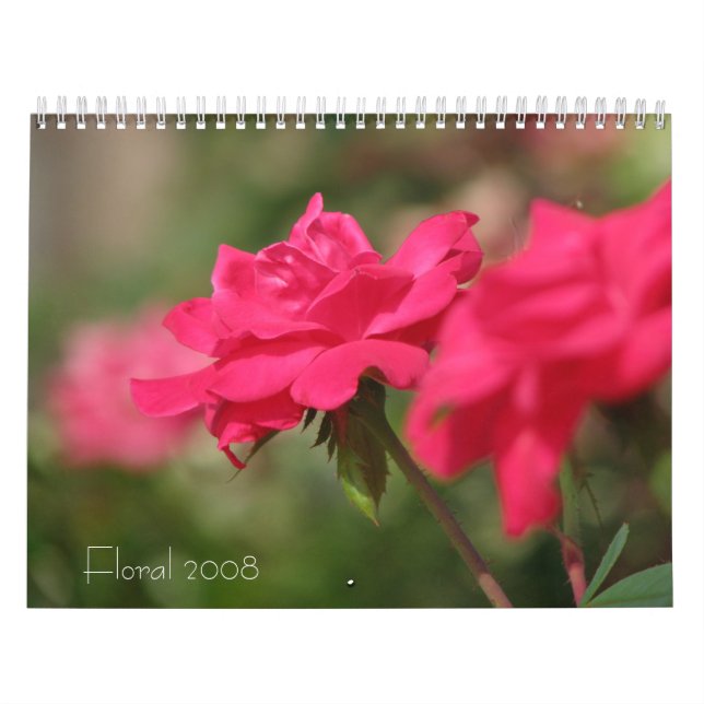 Blommigt 2008 kalender (Omslag)