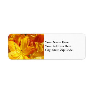 Blommigt Adressetiketter Orange Rhododendron Flowe Returadress Etikett