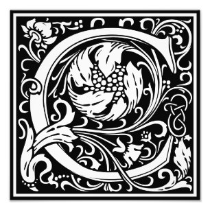Blommigt Alphabet Monogram Brev C Photo Print Fototryck