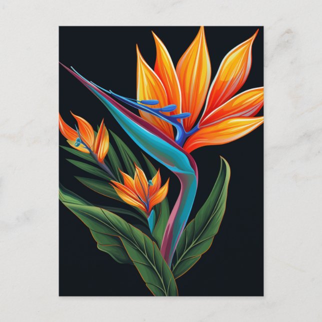 BLOMMIGT ART # 11 Gift box Vykort (Framsida)