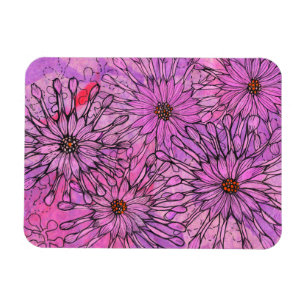 Blommigt Art i African Daisy Cape Daisy Rosa Flowe Magnet