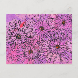 Blommigt Art i African Daisy Cape Daisy Rosa Flowe Vykort