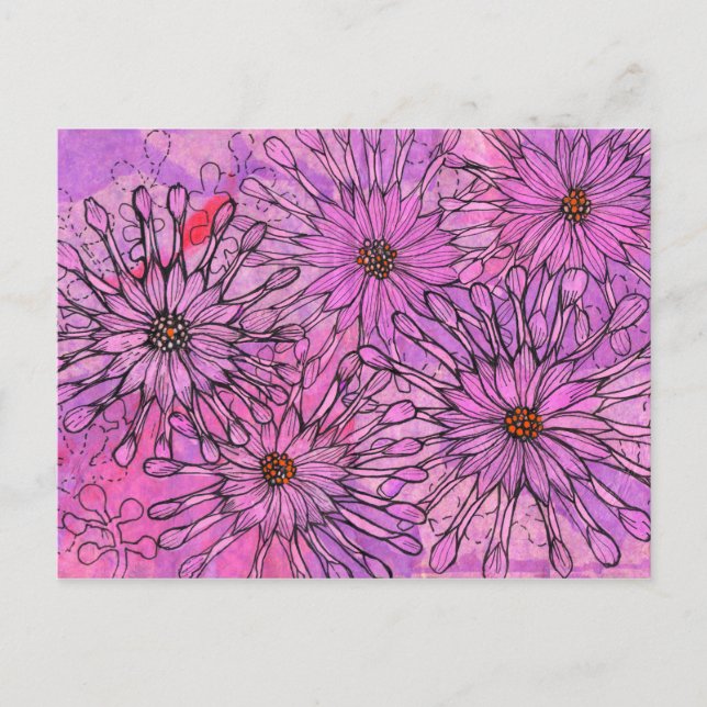 Blommigt Art i African Daisy Cape Daisy Rosa Flowe Vykort (Framsida)