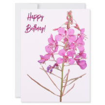 blommigt av grattis på födelsedagen söt rosa vild