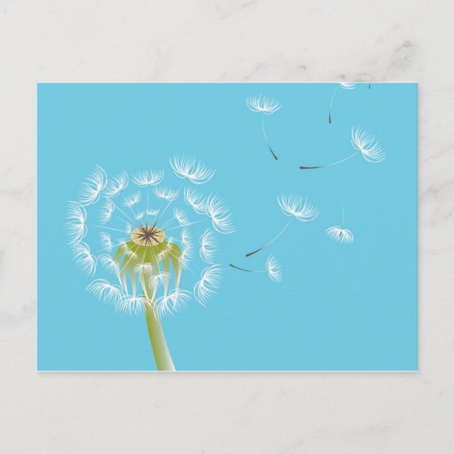 Blommigt av Himlar Blue dandelion Vykort (Framsida)