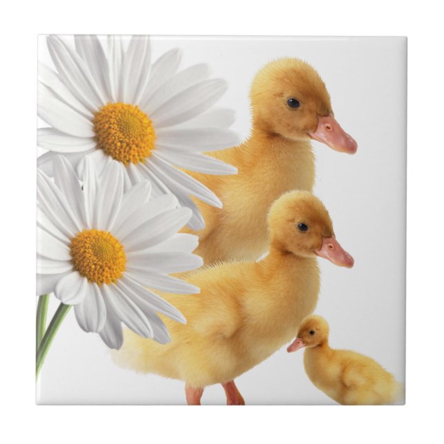 Blommigt av keramisk platinvit Daisy Kakelplatta (Framsidan)