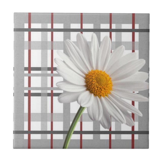Blommigt av keramisk platinvit Daisy Kakelplatta (Framsidan)