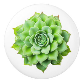 Blommigt av keramiska knop knopp