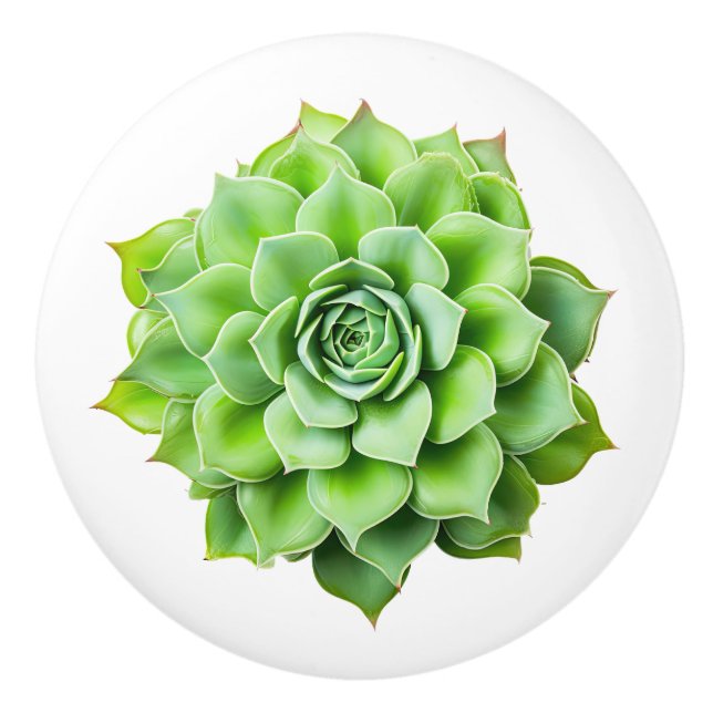 Blommigt av keramiska knop knopp (Framsidan)