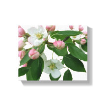 blommigt av körsbärsbärets söt rosa blommar vacker