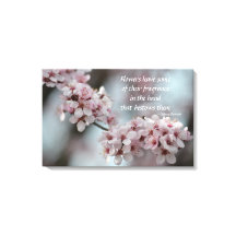 Blommigt av körsbärssystem Blommar