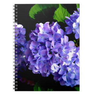 Blommigt av lila blåblomma, Periwinkle hydrangeas Anteckningsbok Med Spiral