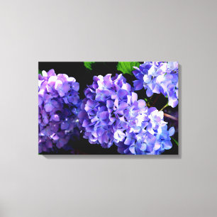 Blommigt av lila blåblomma, Periwinkle hydrangeas Canvastryck