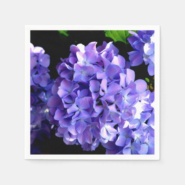 Blommigt av lila blåblomma, Periwinkle hydrangeas Pappersservett (Framsidan)