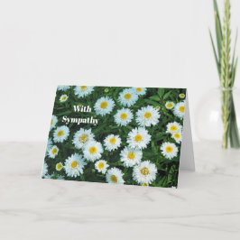 Blommigt av Little White Daisys Foto Sympathy Kort