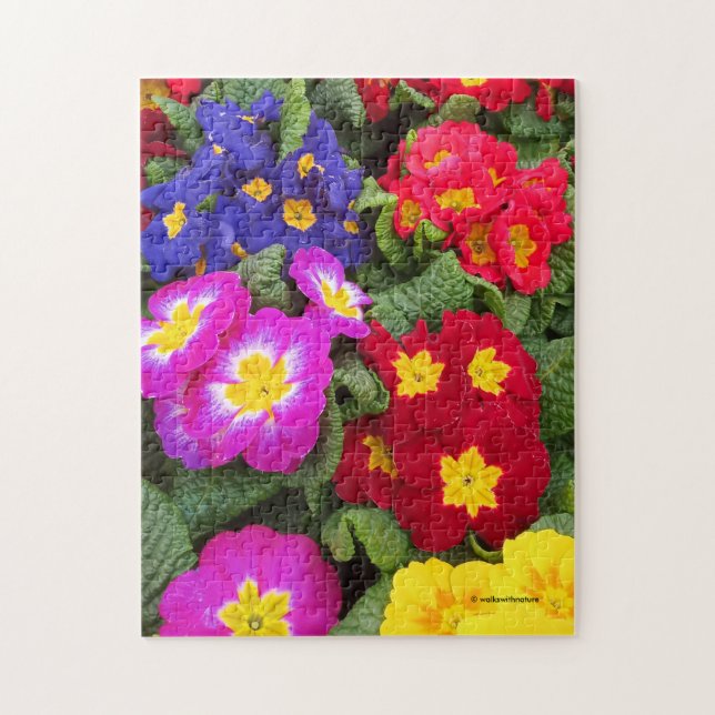 Blommigt av primulas, färgad, Springtime Pussel (Vertikal)