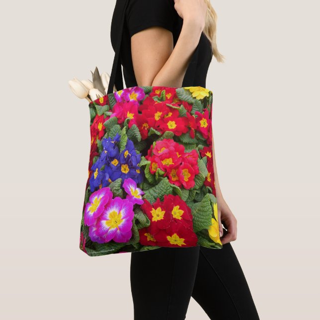 Blommigt av primulas, färgad, Springtime Tygkasse (Närbild)