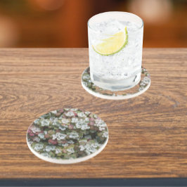 Blommigt av Sedum Spathulifolium Succulants Underlägg