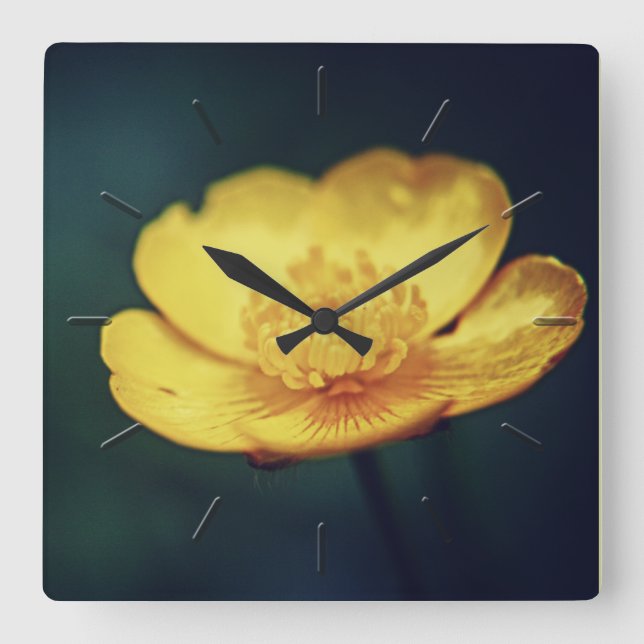 Blommigt av smörblommans väggklocka (Framsida)