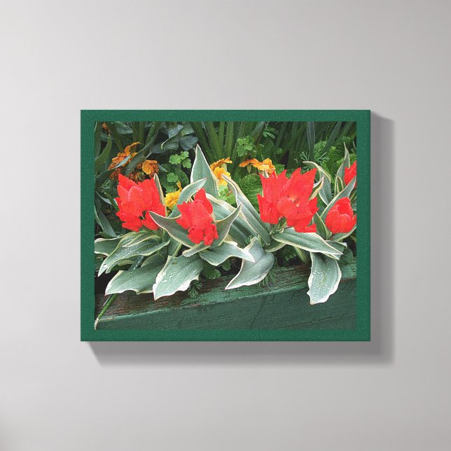 blommigt av söt röda tulpaner, färglös snyggt canvastryck (Framsida)