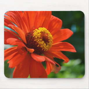 Blommigt av vacker elegant-orange musmatta