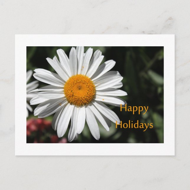 Blommigt av vacker vit daisy blomma i glad helg vykort (Framsida)