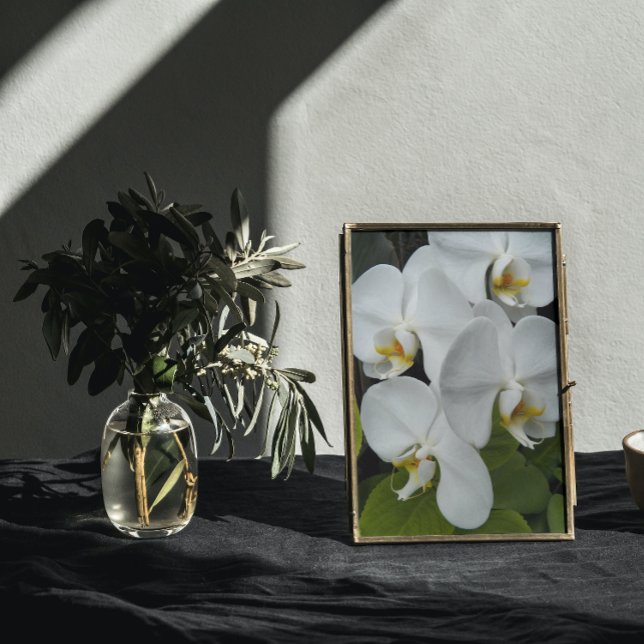 Blommigt av vita halvvita blodkroppar fototryck (In Situ Framed)