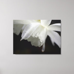 Blommigt av vita skyddsanordningar Photo Print Canvastryck
