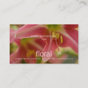 Blommigt - Belladonna Lily Affärskort Visitkort