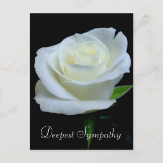 Blommigt Black och Vit ros Deepest Sympathy Vykort