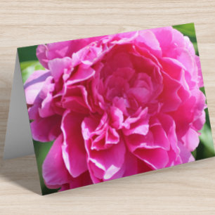 Blommigt Blank Elegant för Rosa av inre Söt, vikt Anteckningskort