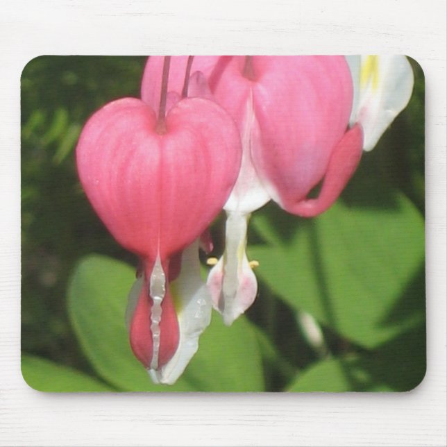 Blommigt Bleeding Heart - Anpassningsbar Mousepad Musmatta (Framsidan)