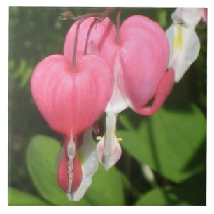 Blommigt Bleeding Heart - Large Ceramic Photo Tile Kakelplatta