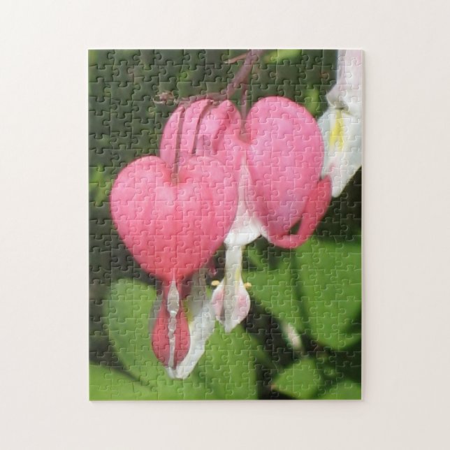 Blommigt Bleeding Heart Photo Puzzle & Gift Box Pussel (Vertikal)