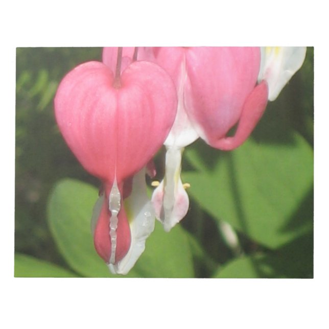 Blommigt Blödning Hjärtat - Anteckningsblock för f (Framsida)