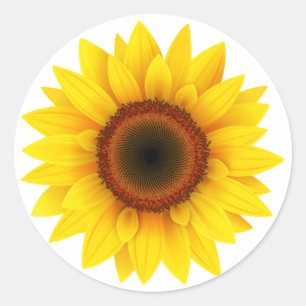 Blommigt, blommor, trädgårdsblommor, trädgårdsblom runt klistermärke