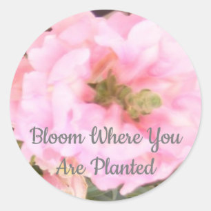 Blommigt - Bloom där du är planerad Runt Klistermärke