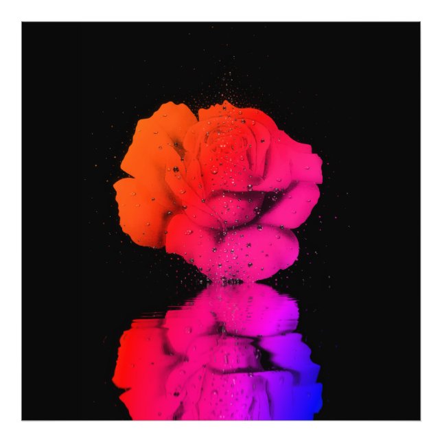 Blommigt Bloom Vatten-droppkonst i Rustic Röd ros  Fototryck (Framsidan)