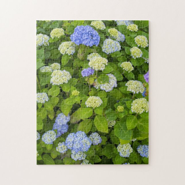 Blommigt Blue Hydrangea Nature Photo Pussel (Vertikal)