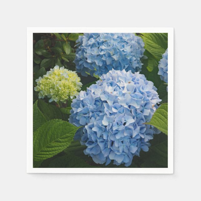 Blommigt Blue Hydrangea Photo Pappersservett (Framsidan)