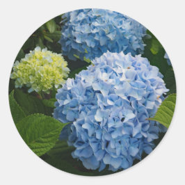 Blommigt Blue Hydrangea Photo Runt Klistermärke