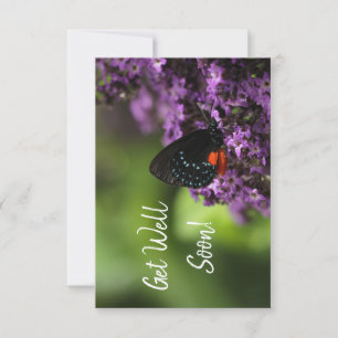 Blommigt Butterfly får bra kort