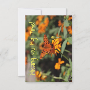 blommigt-butterfly saknar ditt kort