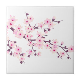 Blommigt Cherry Blommar Rosa White Kakelplatta