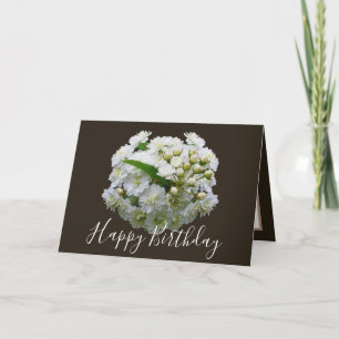 Blommigt Chic Bouquet White Spirea Blommigt Birthd Kort