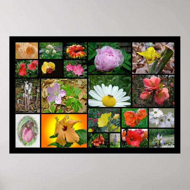 Blommigt Collage #2 Poster (Framsidan)