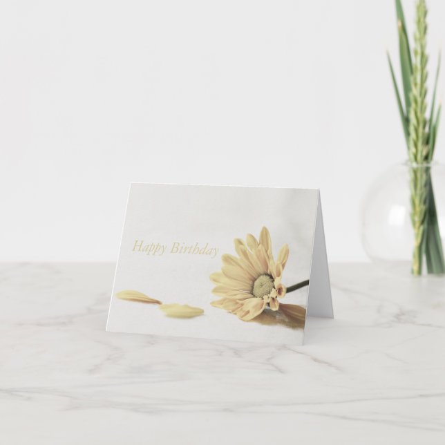 BLOMMIGT - DAISY KORT (Framsida)